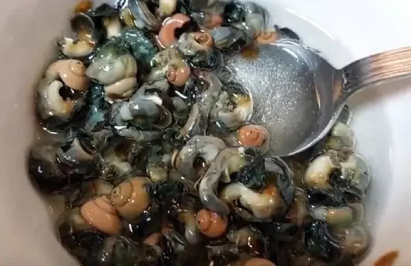 Burgados en vinagre, un aperitivo típico de las Islas Canarias