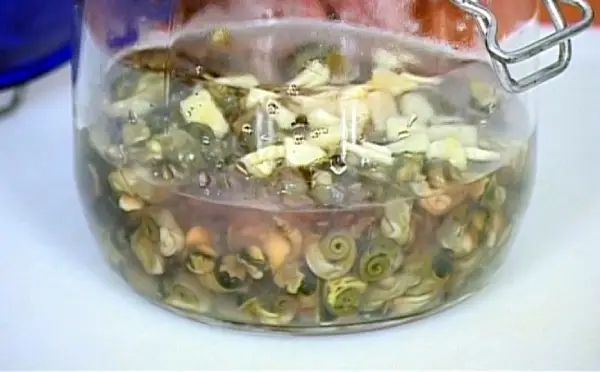 Burgados cocidos en un tarro con vinagre y ajo picado